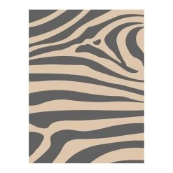 Safarica Safarimat Tenttapijt 270 X 500 Zebra Beige -Professionele winkel voor kampeerartikelen 139745 180 04 1